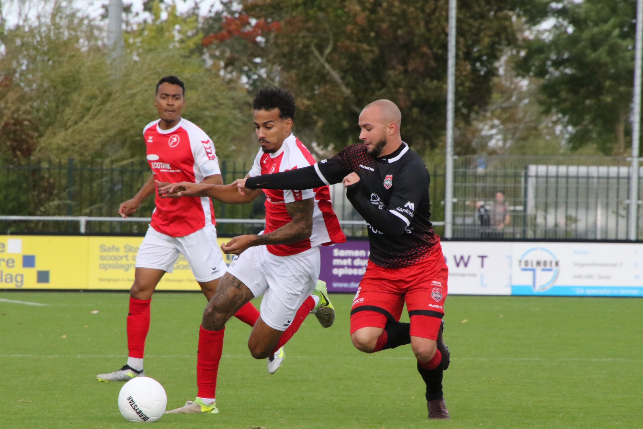 Mitchelldenooijer
